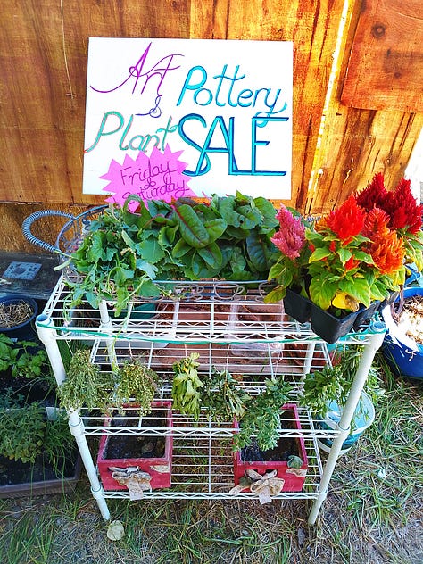harvest, sale, baked treats