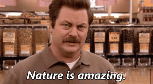 Ron Swanson Nature GIF - Ron Swanson Nature Nature Is Amazing GIFs Ron Swanson Nature GIF - Ron Swanson Nature Nature Is Amazing GIFs
