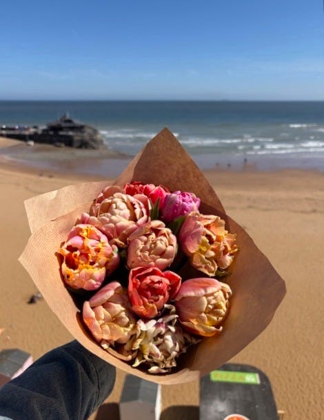 Pizza Special, Brewery Tour & CatVideoFest