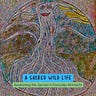 A Sacred Wild Life by Annie Alcorn