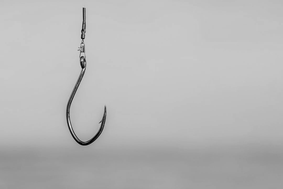 a fishing hook hanging from the side of a boat