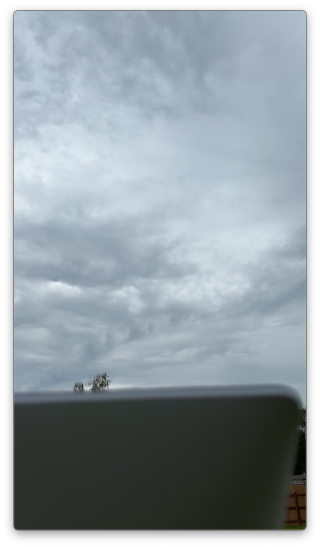 N8gnj_meadow_day_2023_starlink_view_behind_dishy N8gnj_meadow_day_2023_starlink_view_behind_dishy