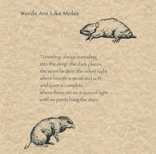 Words Are Like Moles  Tunneling, always tunneling, into the deep, the dark places, the worm larders, the velvet night where breath is moist and soft and quiet is complete, where there are no traces of light until we poets hang the stars.