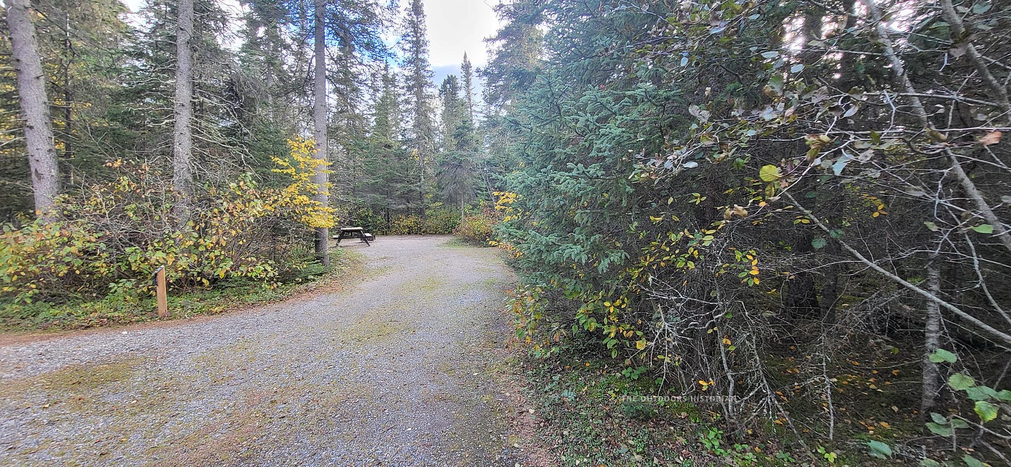 A view of an empty, level campsite at Hattie Cove. The site is deeply secluded, surrounded by a thick screen of evergreens and spruce, highlighting the privacy and "dark sky" potential of the inland Pukaskwa campsites.