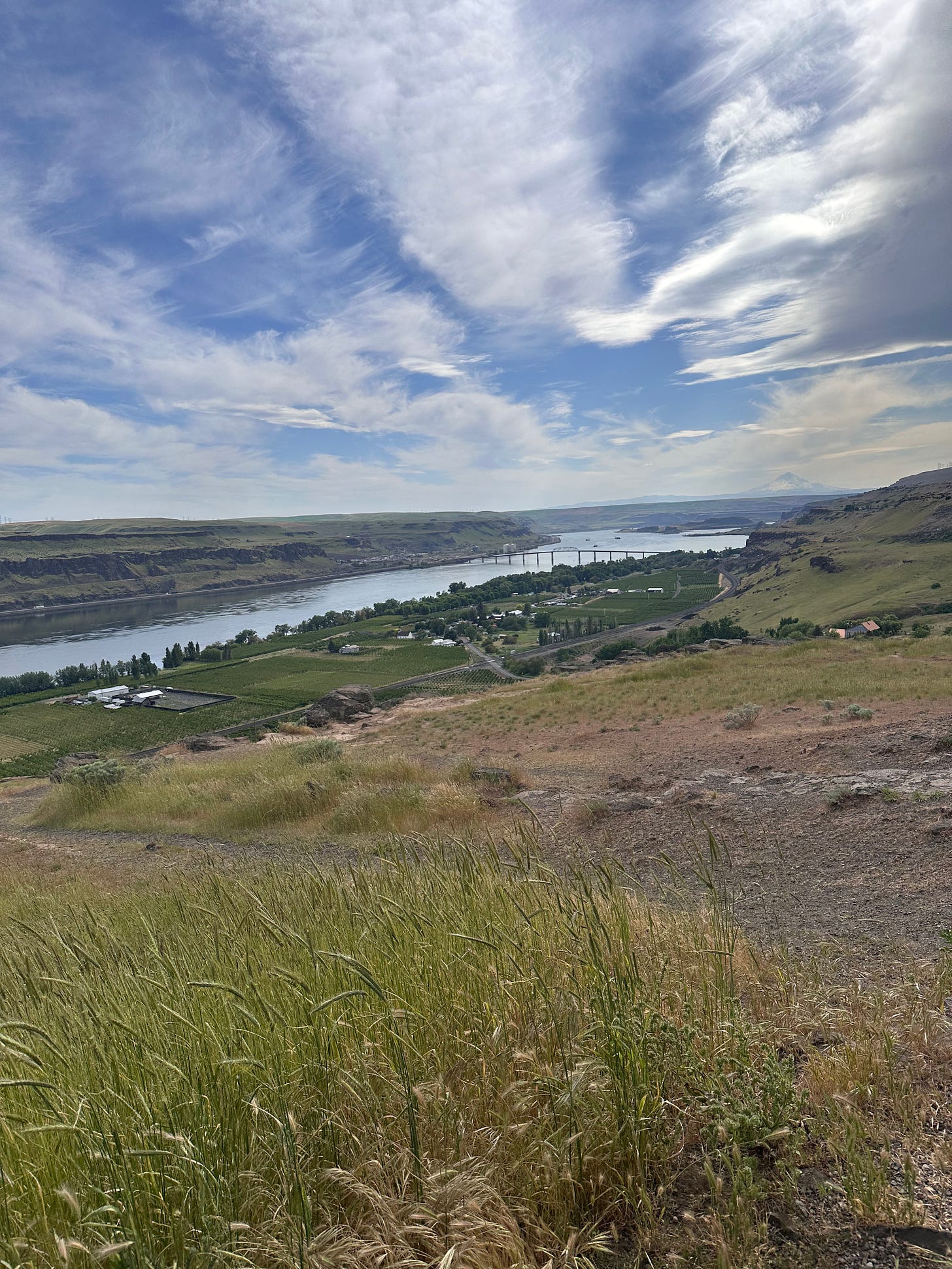 The Columbia River as seen from a bluff above Maryhill Washington 