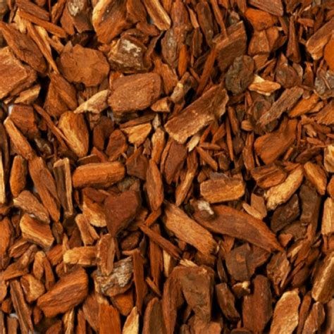 High Quality CINCHONA BARK in CA and USA