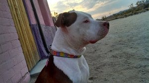 Ruby zen Ruby zen