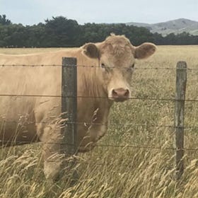 We Launched The Book! Part 2: My Speech