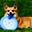 Andie's avatar