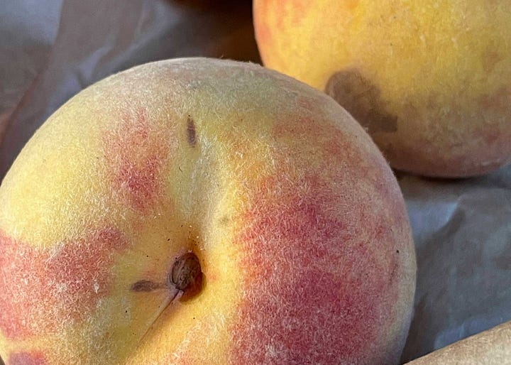 peaches watercolor