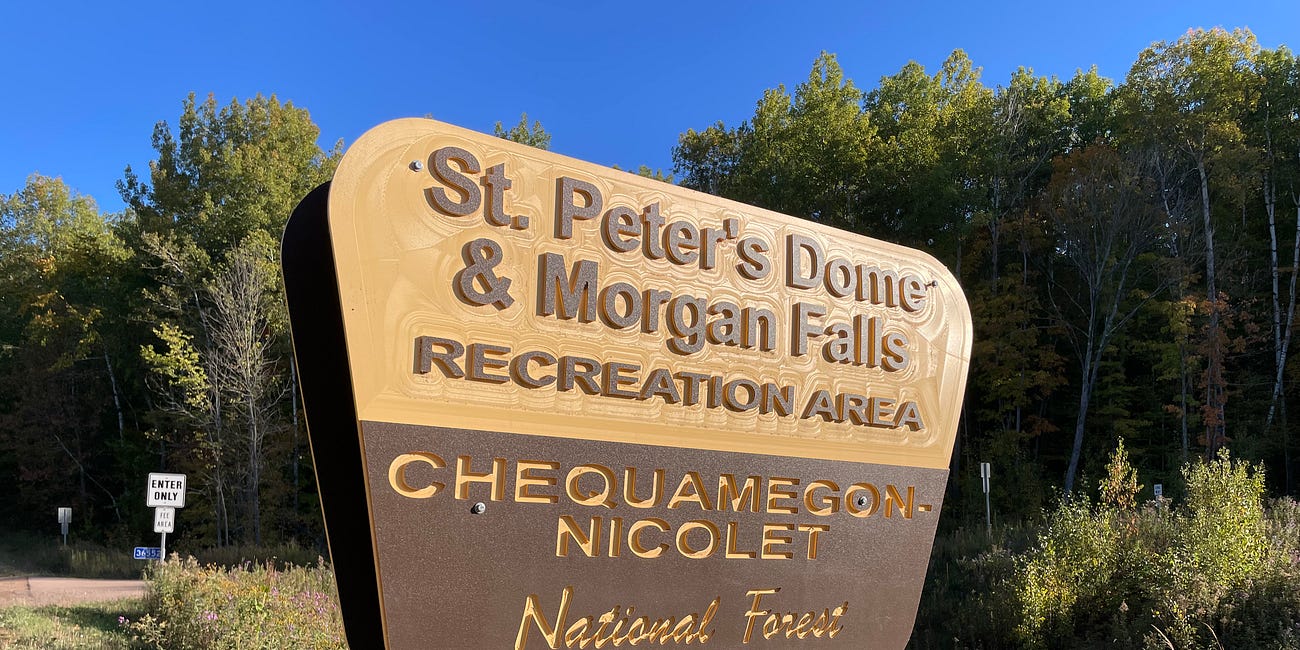 A postcard from the moss: October 2024