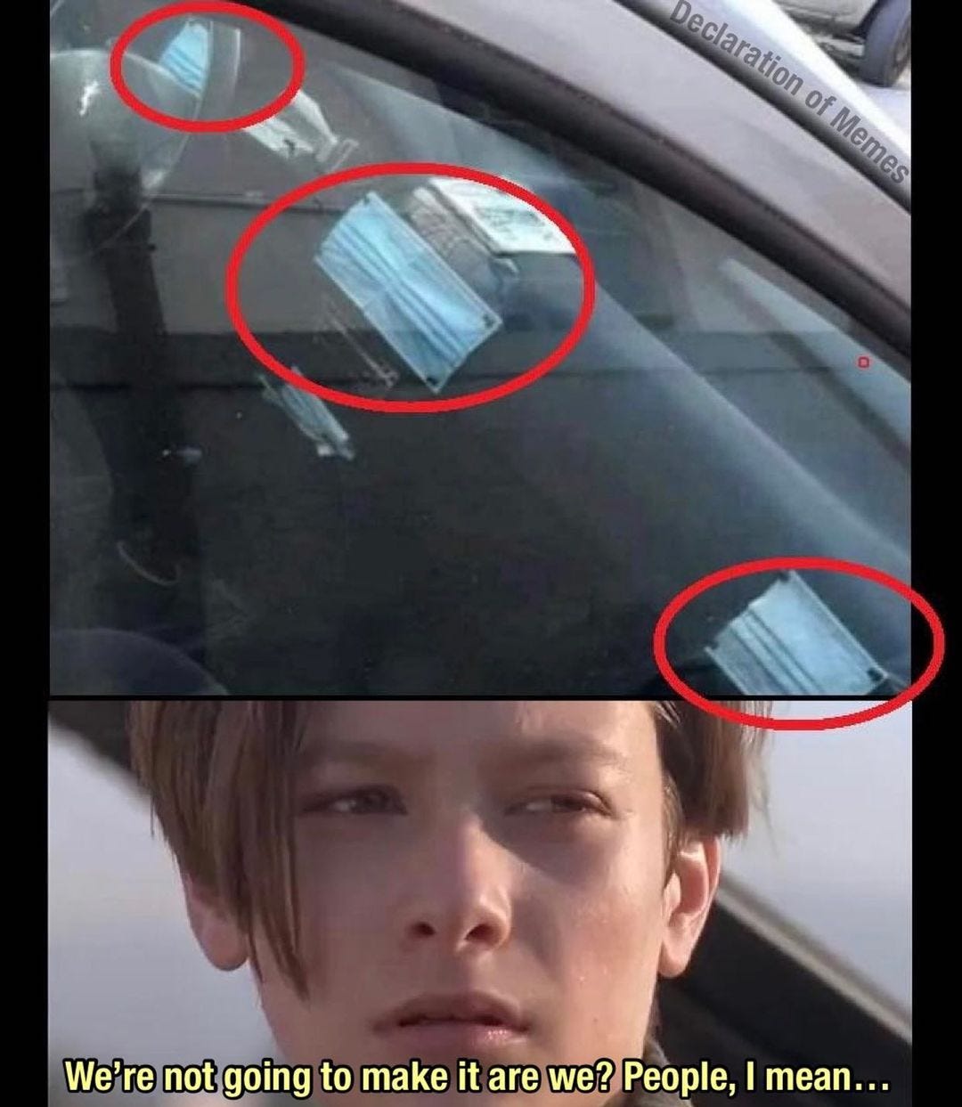May be an image of 1 person, car and text that says 'Declaration of Memes We're not going to make it are we? People, I mean...'