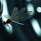 THE PILOT PROBLEM — PART SEVEN: THE DRAGONFLY PROBLEM