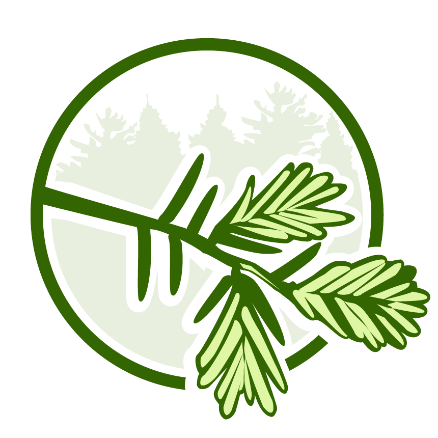 Cycle Forward Newsletter