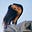thatgirllams's avatar