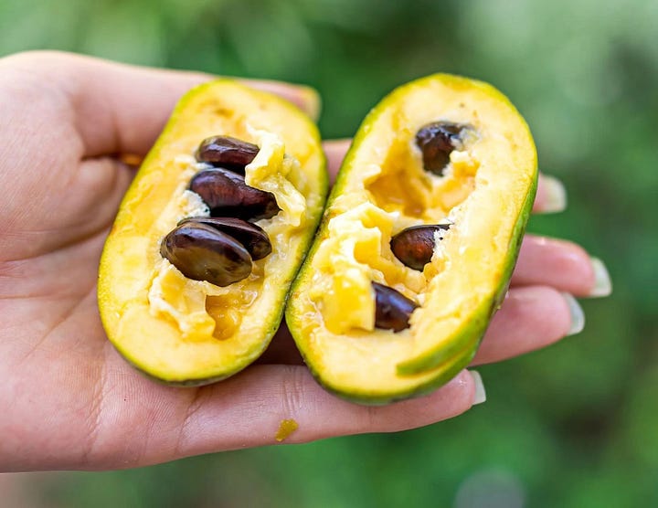 Pawpaws ready for eating