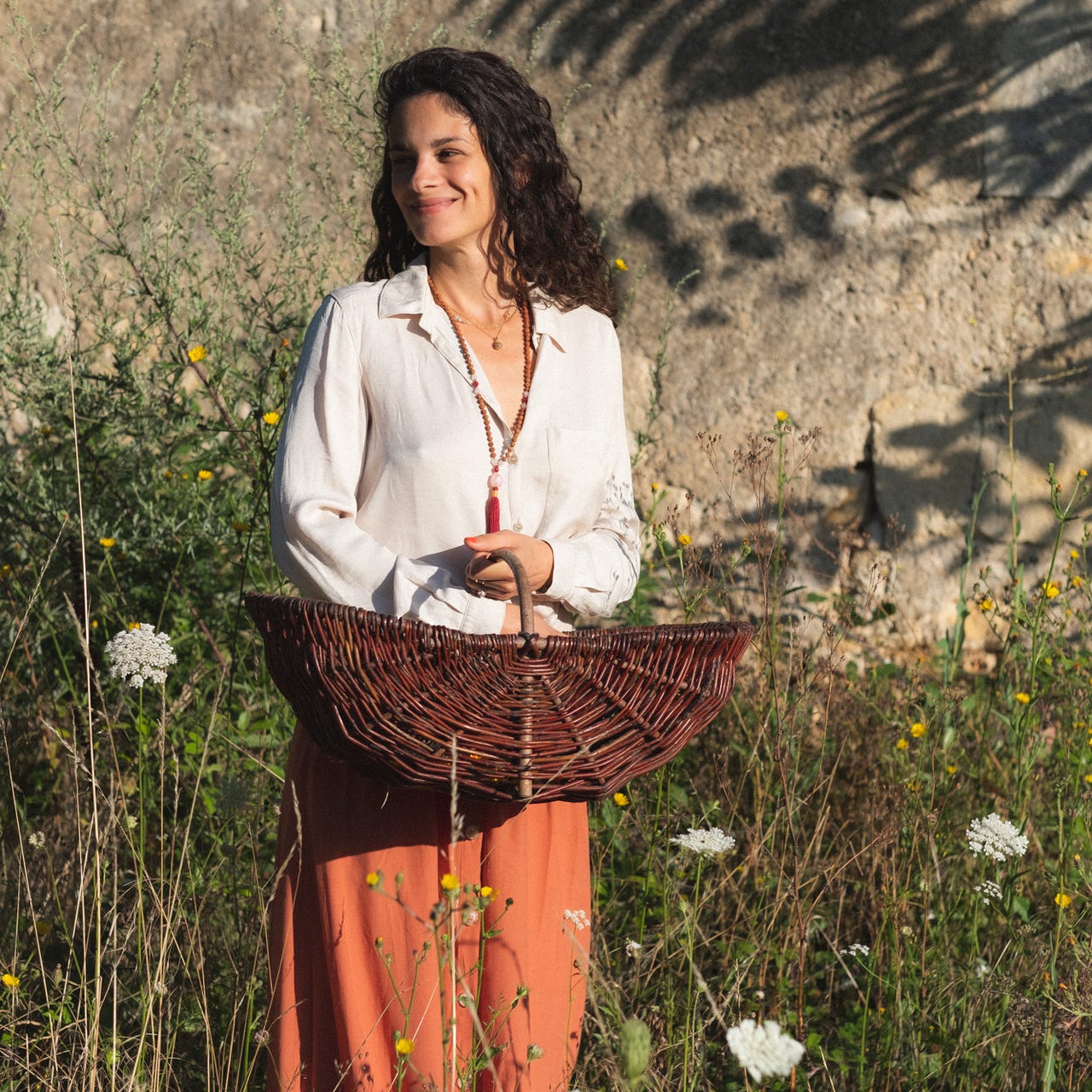 Les chroniques " Ma vie à la campagne "