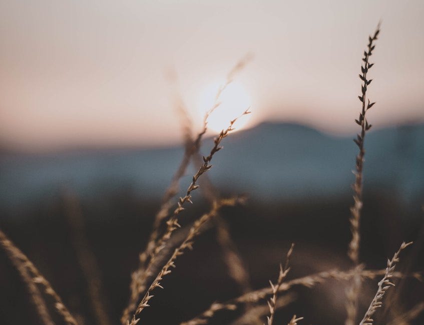 Rediscovering Slow Growth (This Time From the Inside Out)