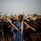 Niger: Those who can, leave