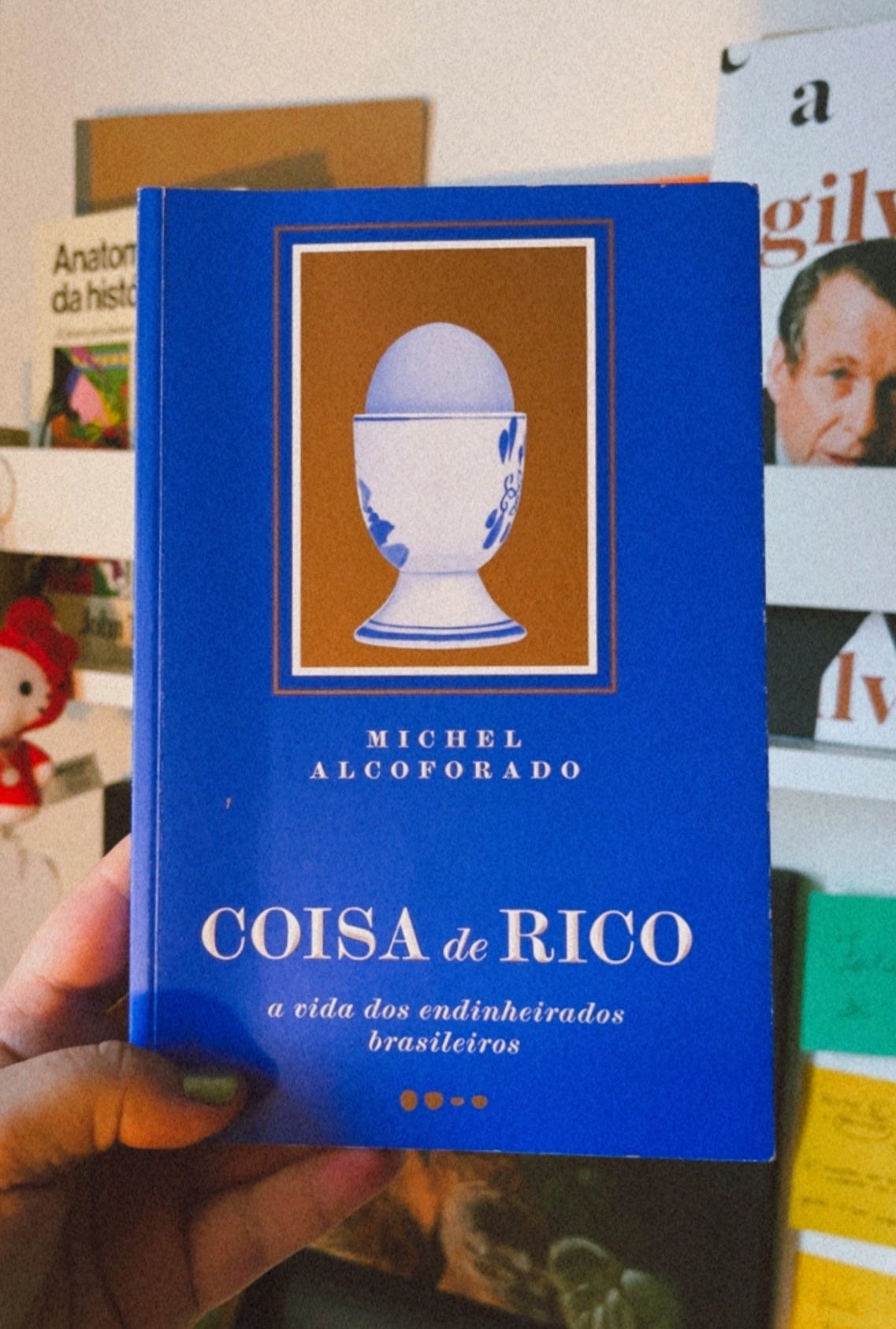 Coisa de Rico, de Michel Alcoforado: o livro que revela os códigos ...