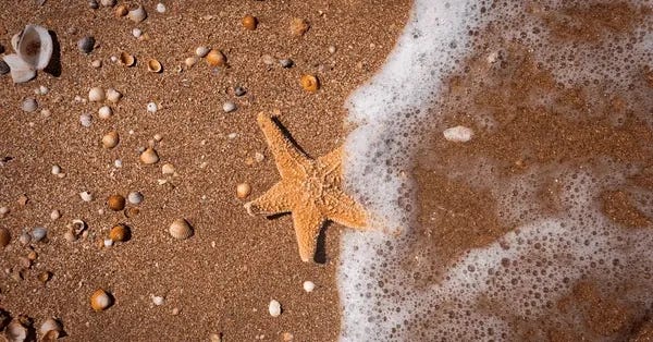 2+ Million Beach Shore Waves Royalty-Free Images, Stock Photos & Pictures | Shutterstock 2+ Million Beach Shore Waves Royalty-Free Images, Stock Photos & Pictures | Shutterstock