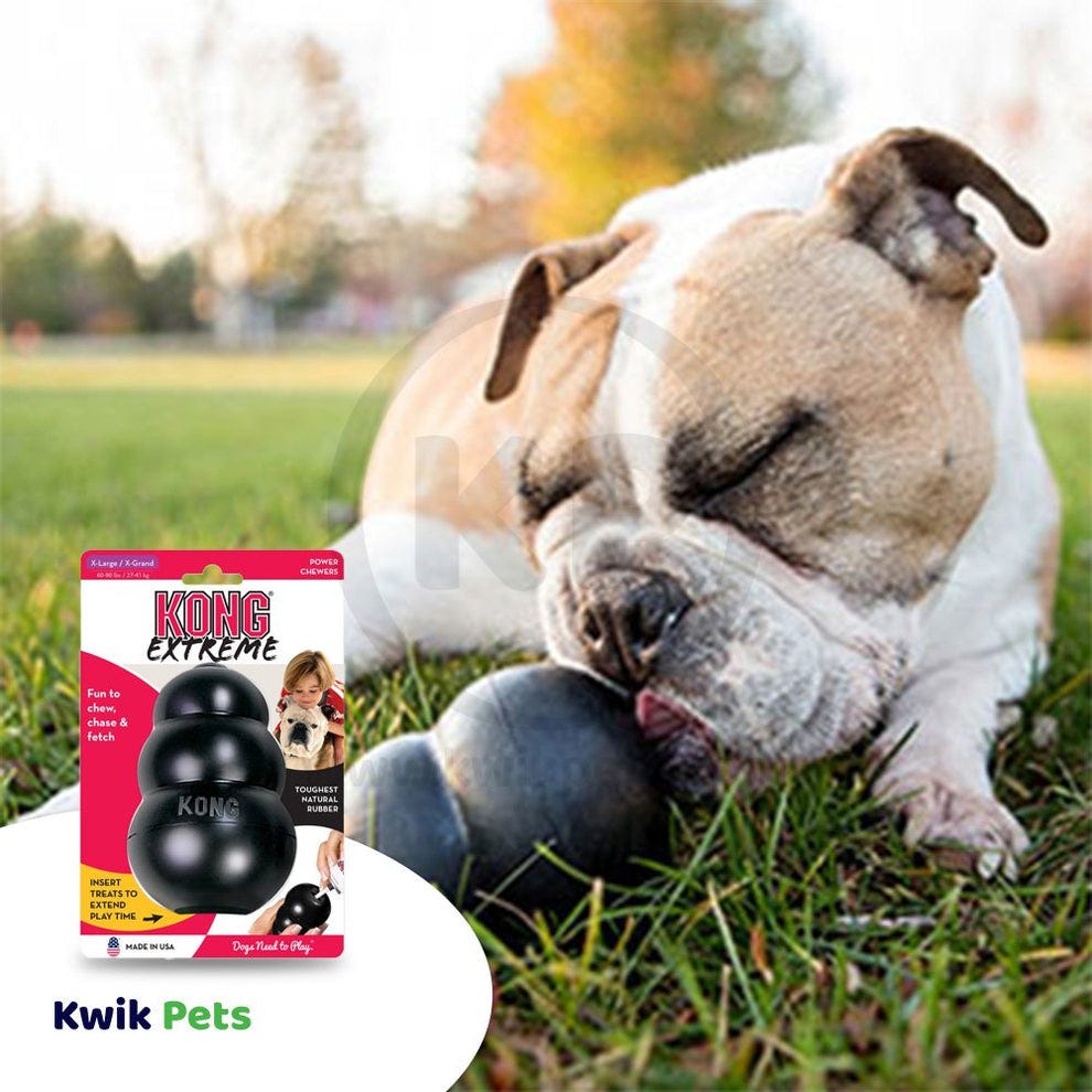 KONG Small Dog Toy