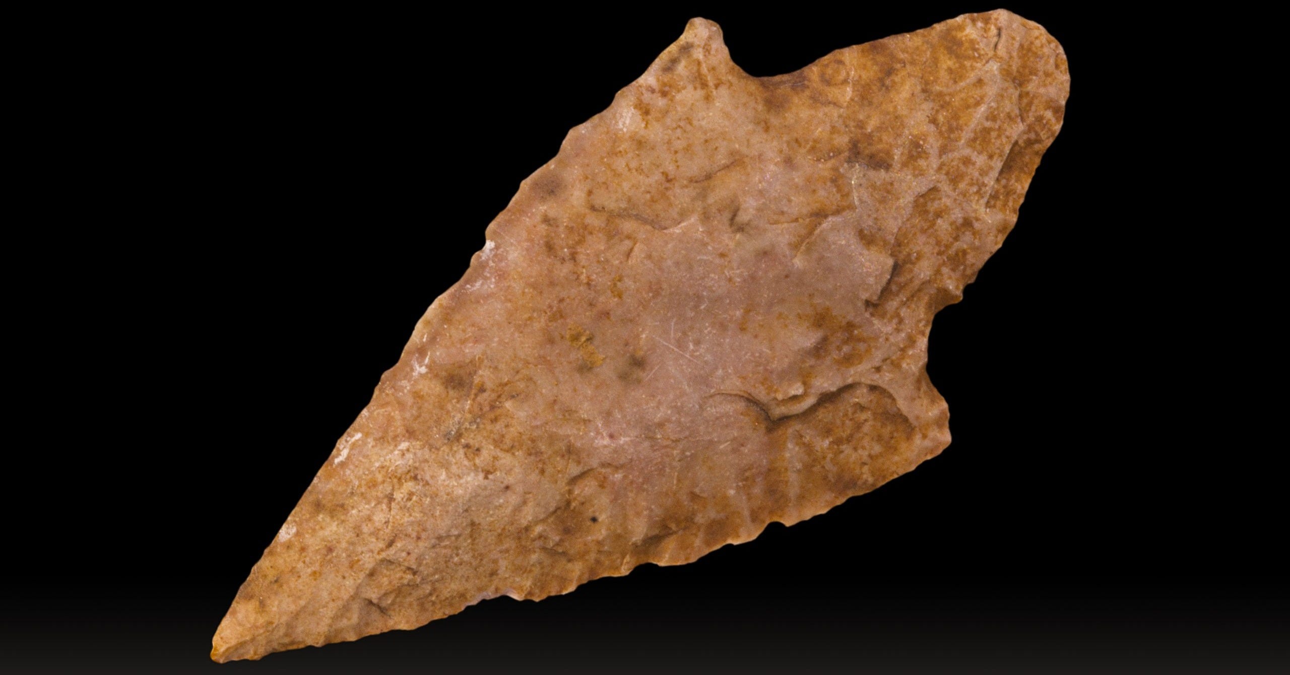 The 60,000-Year Chemistry Lab: What Poison Arrows Tell Us About Stone Age Intelligence