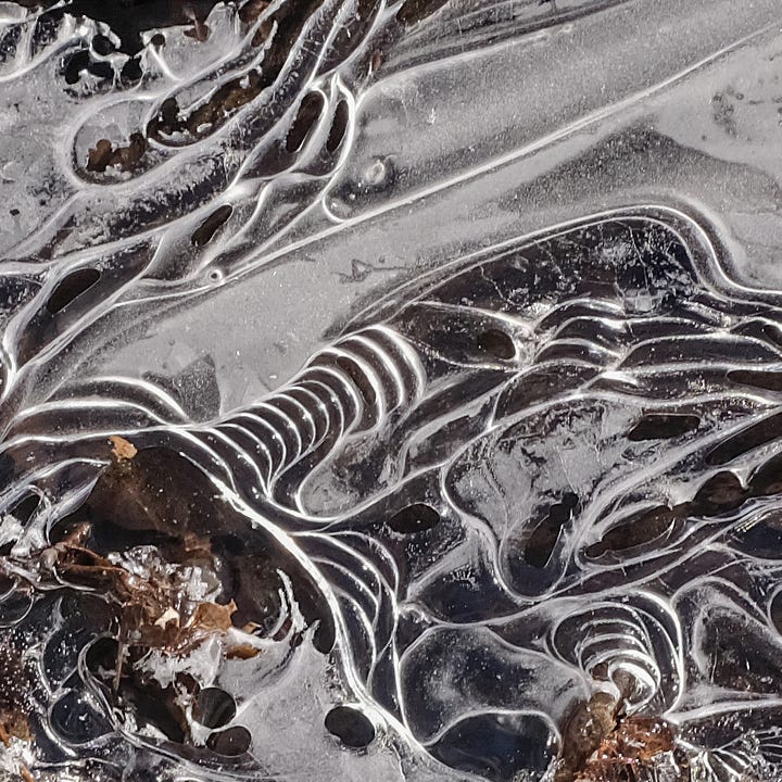 Diptych: Left frozen triangles of ice, brown from leaves below; Frozen ripples of ice, also brown from leaves below.