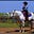 Curious Equestrian's avatar