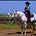 Curious Equestrian's avatar