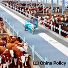 Beijing’s beef and dairy subsidy boom