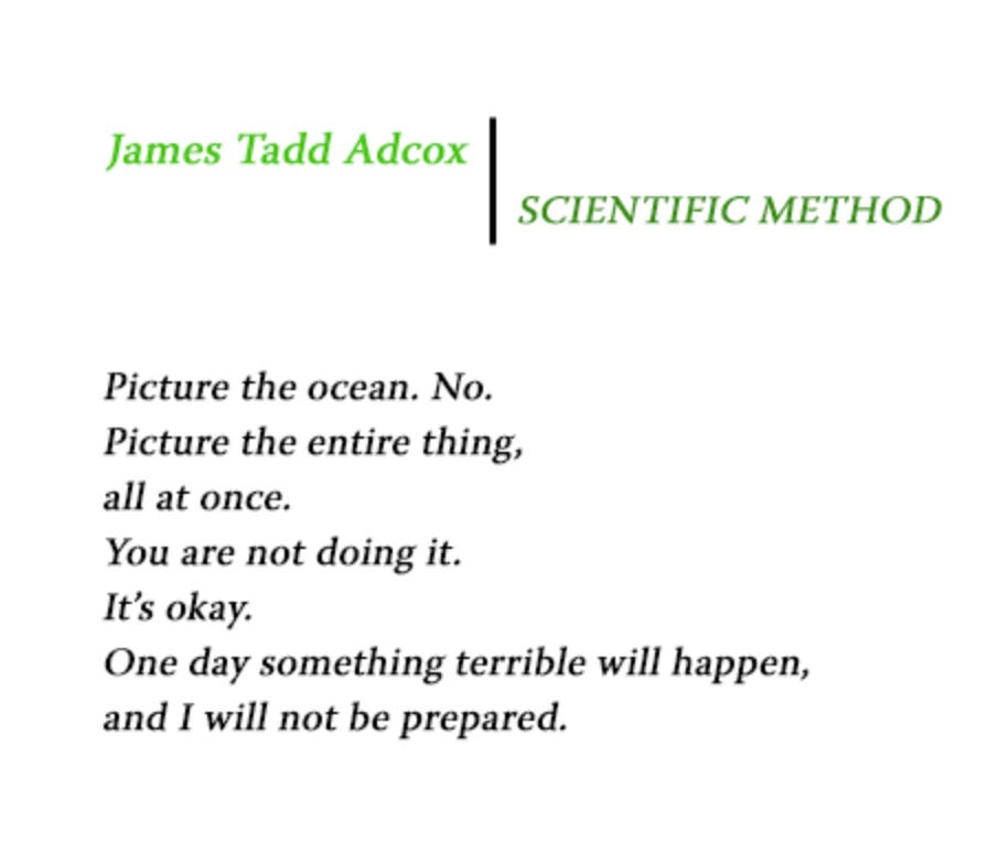 a screenshot of the poem Scientific Method by James Tadd Adcox