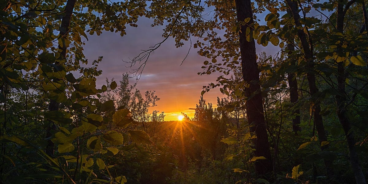 10 Bible Verses For The New Year