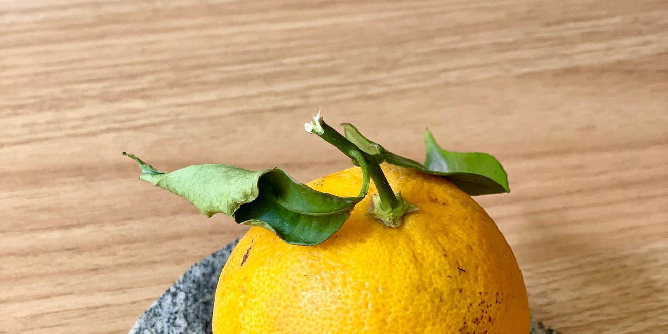 Noshing: The Last Orange