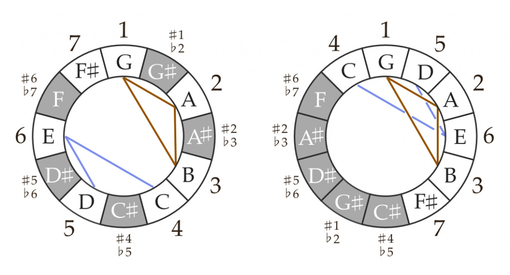 this-must-be-the-place-circles this-must-be-the-place-circles