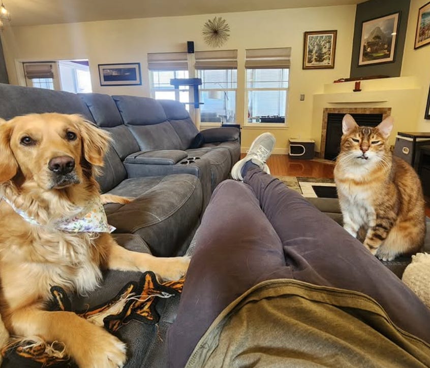A cat and dog sitting on a couch
AI-generated content may be incorrect.