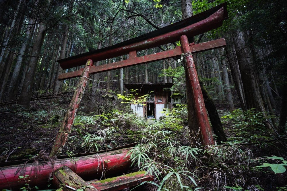 Exploring the eerie beauty of Japan's abandoned villages - The Japan Times
