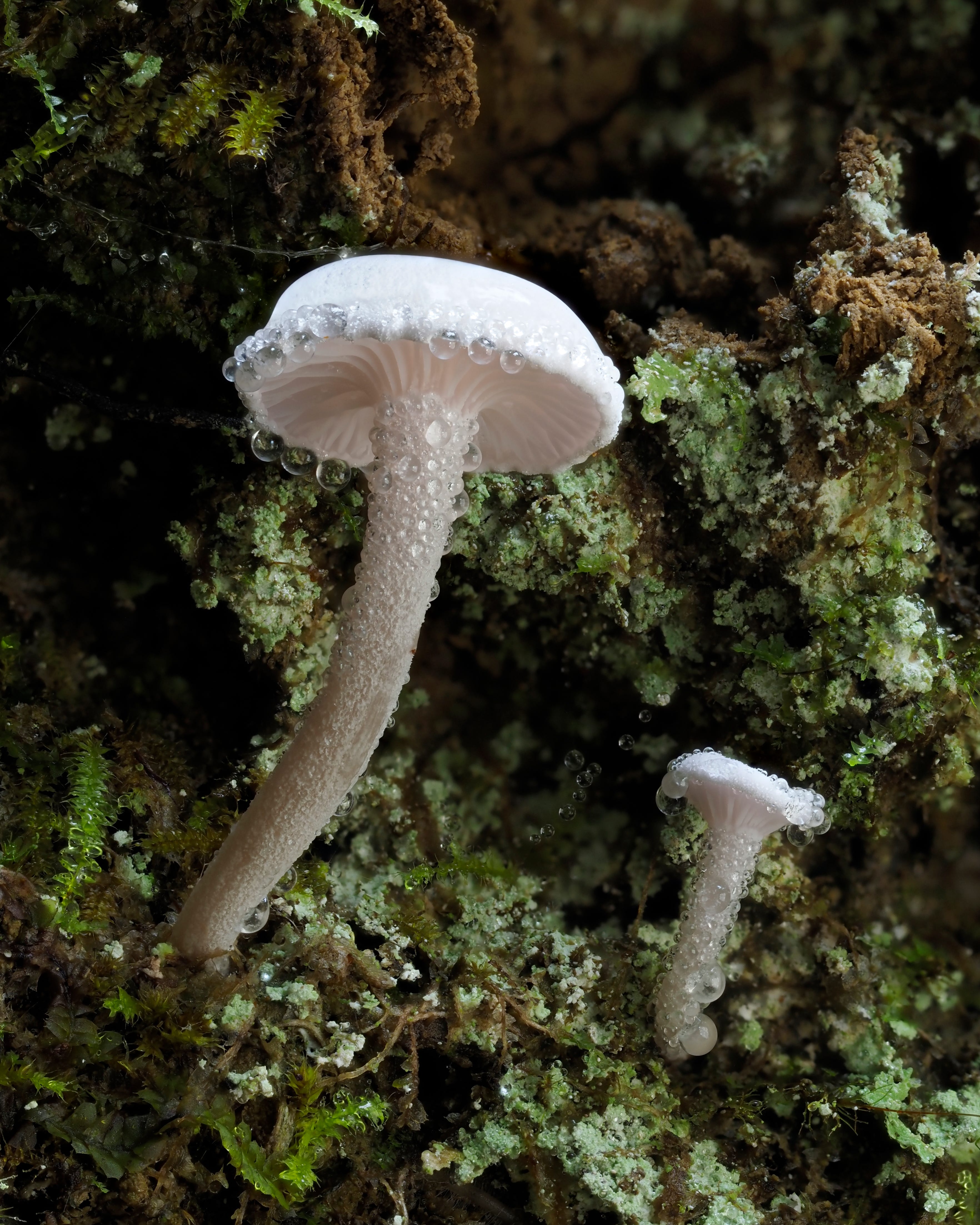 Finding Color in the Rain: A Week at Momorangi Bay