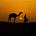 واوٌ's avatar