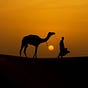 واوٌ's avatar