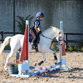 Sun shines on Knockagh View show jumpers
