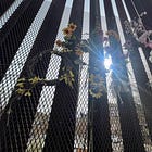 A Walk on the Border the Day after the National Emergency Declaration