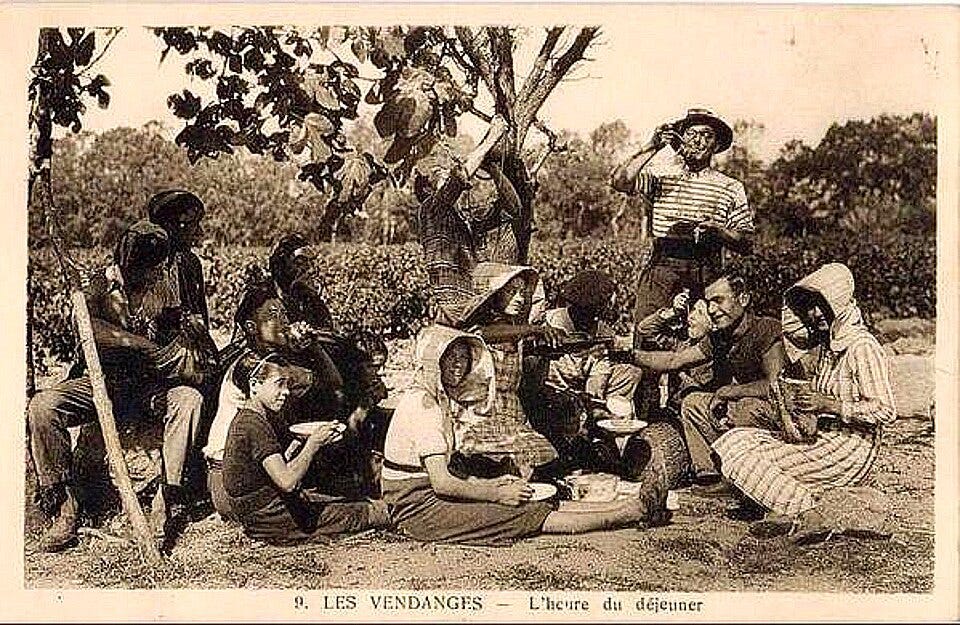 File:Repas de vendanges dans l'Hérault.jpg