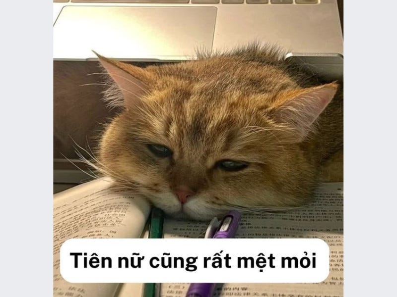Tổng hợp các loại meme buồn làm mưa làm gió trên mạng xã hội