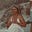 Gill Howarth's avatar