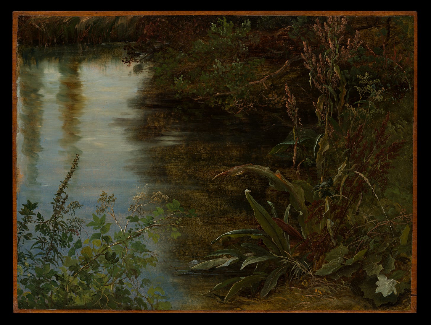 Art credit: Study of Water and Plants by Thomas Fearnley Art credit: Study of Water and Plants by Thomas Fearnley