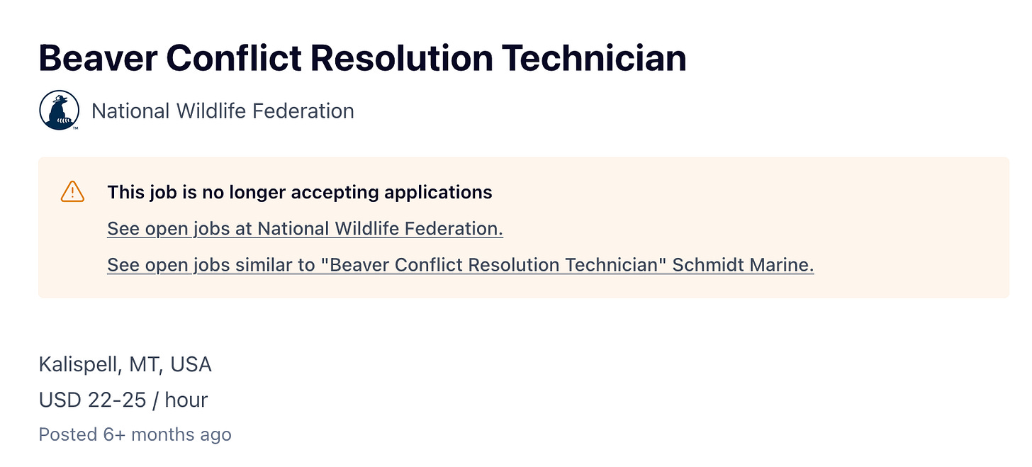 Screenshot of an actual job listing from the National Wildlife Federation for a Beaver Conflict Resolution Technician Screenshot of an actual job listing from the National Wildlife Federation for a Beaver Conflict Resolution Technician