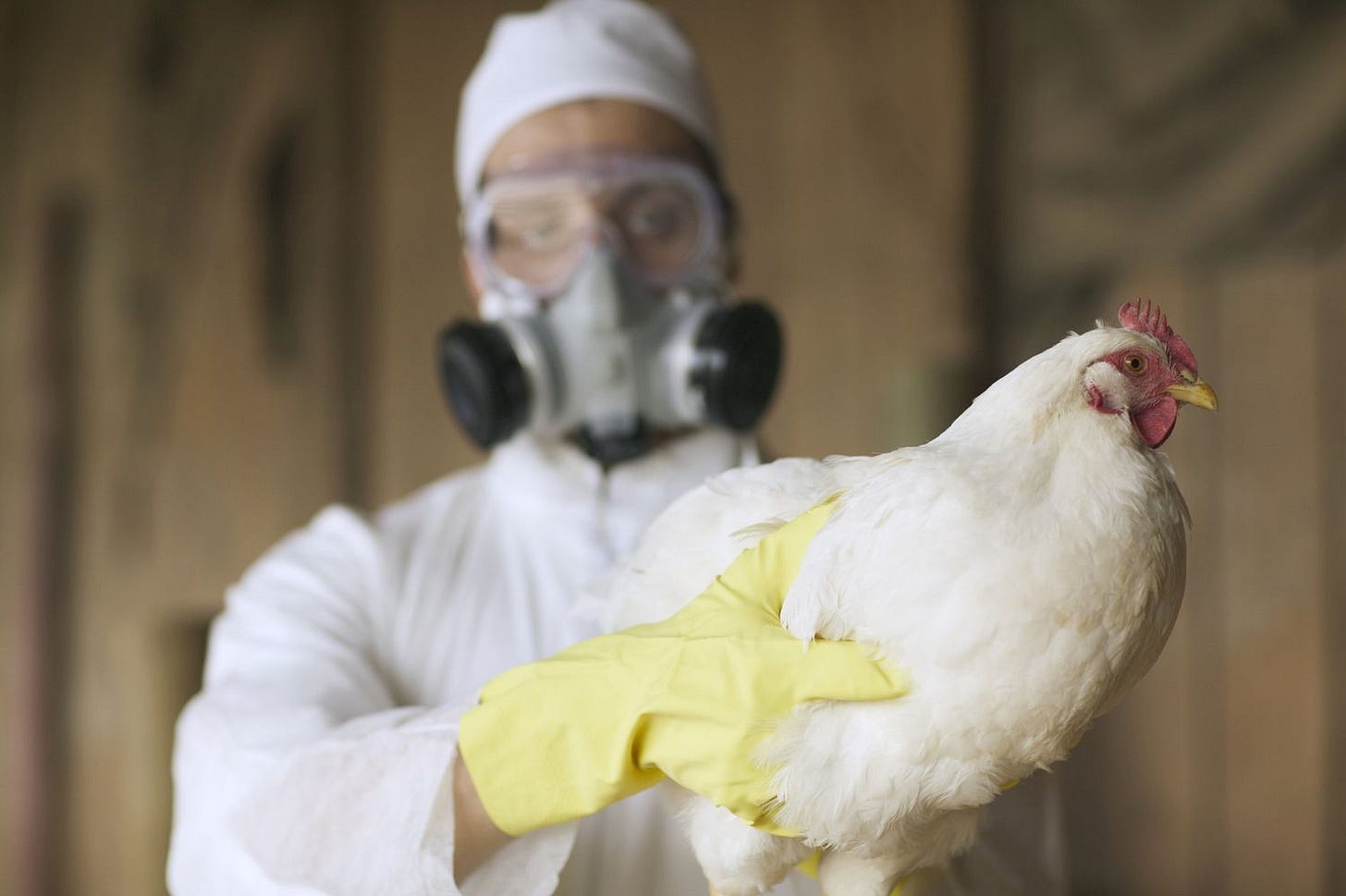 World Health Organization Concerned About Bird Flu Spreading to Humans