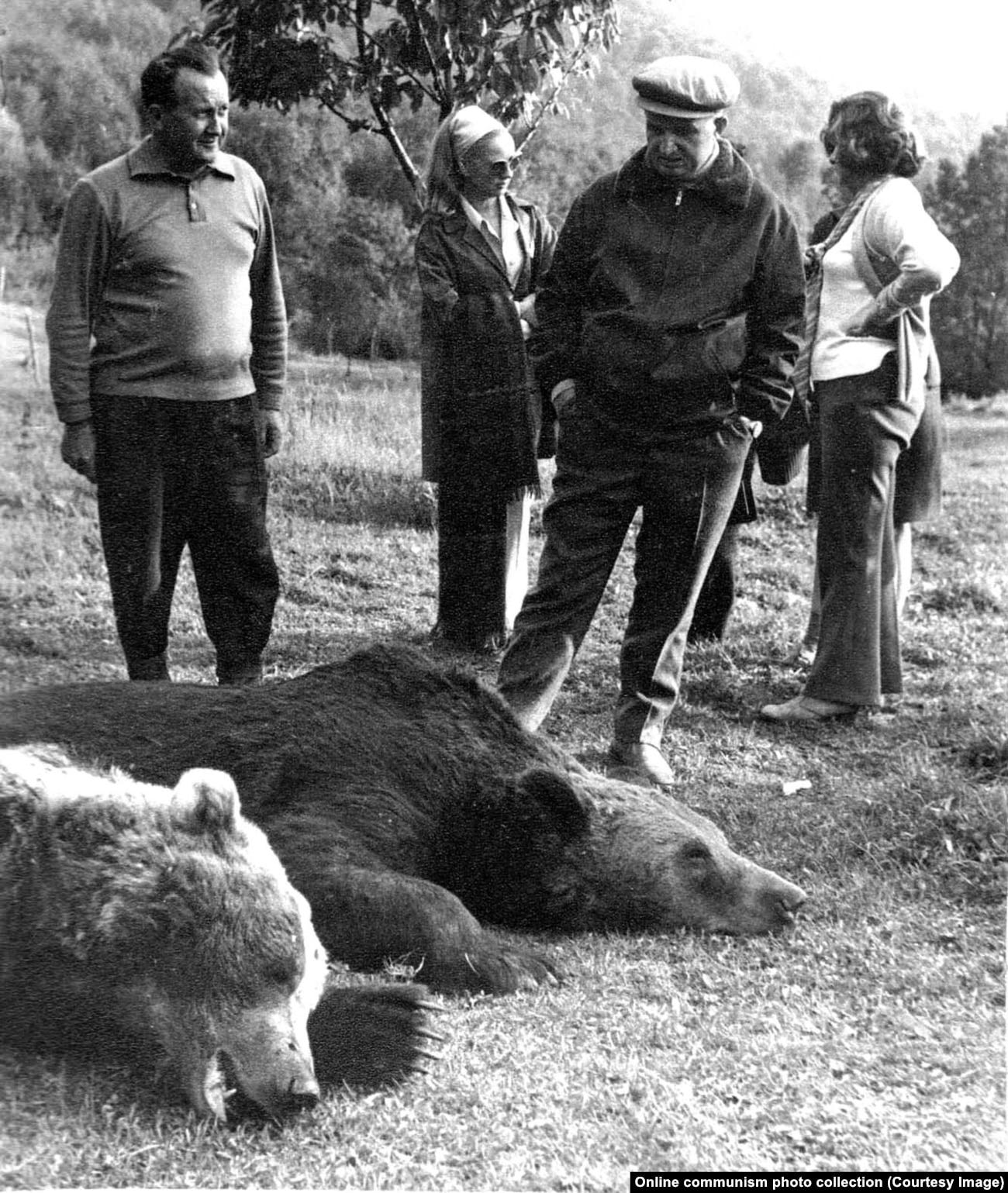 Ceausescu looks over a lineup of recently killed bears in Bistrita, northern Romania in 1972.