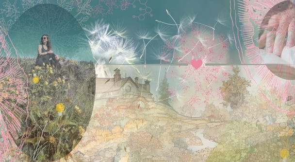 Soft collage over a dusk sky—Andrea Nakayama seated in a wildflower meadow, with a distant homestead, drifting dandelion seeds, and scientific line-work—for her writing on health, story, and living the second half of life with discernment. Soft collage over a dusk sky—Andrea Nakayama seated in a wildflower meadow, with a distant homestead, drifting dandelion seeds, and scientific line-work—for her writing on health, story, and living the second half of life with discernment.